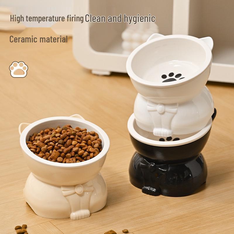 Ceramic Cat Food & Water Bowl with Slanted Mouth and Elevated Design