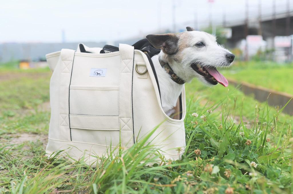 ENTRAMBI Dog Cat Carrier Bag Pet Carrier Pet Bag Small Dog Shoulder Tote Bag Shoulder Bag Stylish Cute Soft Pet Carrier Case X Face-Out Off-White