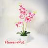 Phalaenopsis Potted Plant Ornament For Office Desk And Living Room Decor