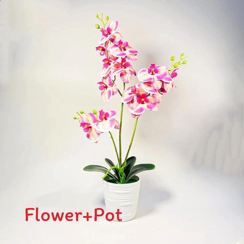 Phalaenopsis Potted Plant Ornament For Office Desk And Living Room Decor