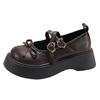 Black Retro High-end Platform Small Leather Shoes Women's 2025 New Summer French with Skirt Shallow Mouth Mary Jane Shoes