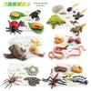 25 Piece Realistic Insect Growth Cycle Card Set Featuring Worm Ladybug Dragonfly Frog Snail Models