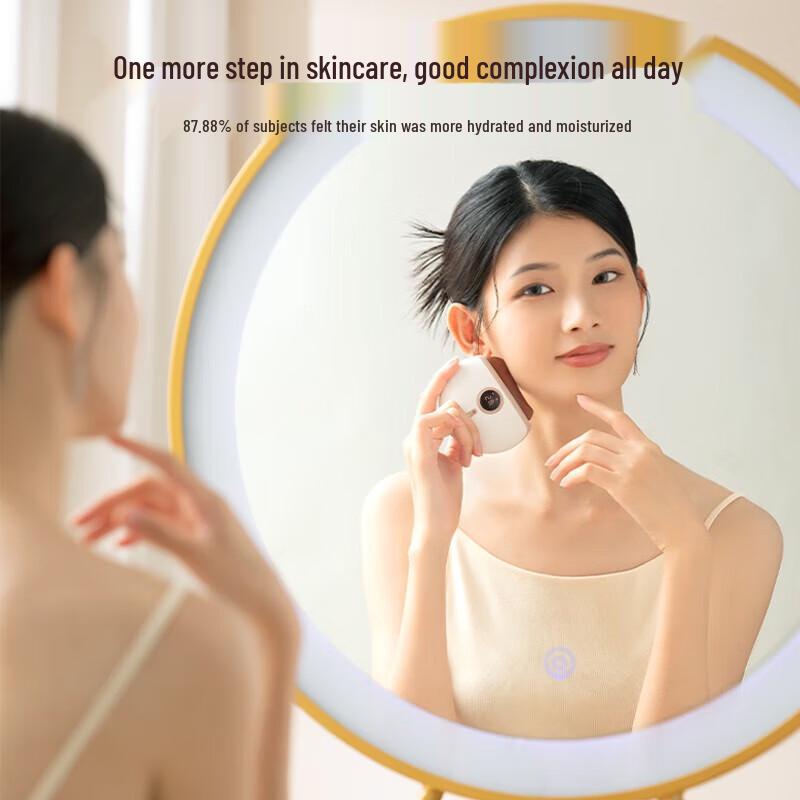 Red Light Bian Stone Electric Gua Sha Massager