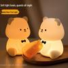 USB Rechargeable Teddy Bear Night Light