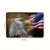Metal Poster Eagle USA Flag Patriotic Wall Art Office Gift 20x30 cm