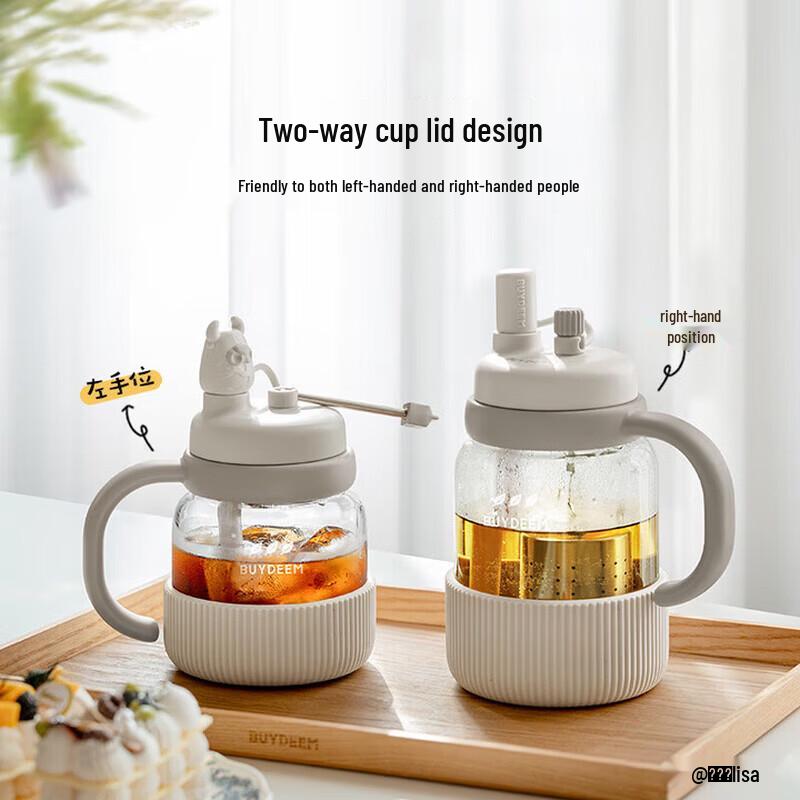 Buydeem Glass Tea Infuser Water Bottle