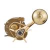 Daiwa Reel 21 Basara IC 250P Gold
