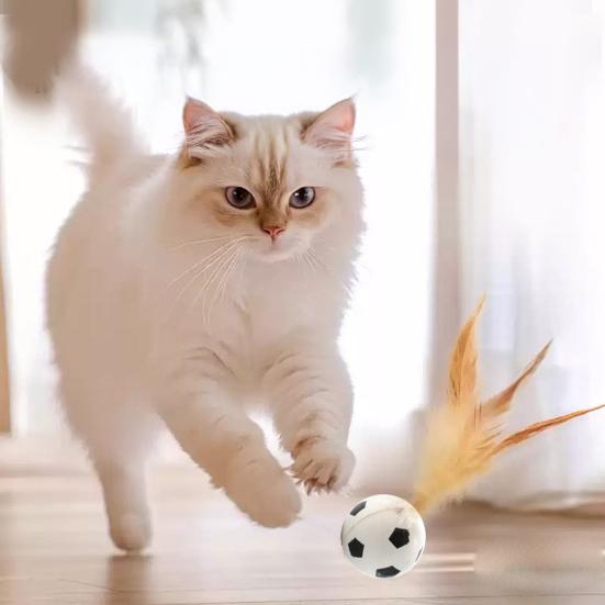 3PCS Cat Toy Exercise Ball with Feathers Lightweight Bounce Ball Interactive Entertainment Toy for Cat Active