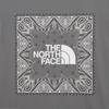 The North Face Men S Bandana Short Sleeve Tee Gray Nt7ur13d