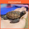 Смола Черепаха Морские Искусства и Ремесла Для Сада Микроландшафт и Декор Прибрежный