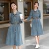 Women Denim Dress Spring Autumn Long Sleeved Blue Jean Dress Ladies Single-Breasted Dresses
