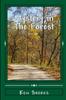 Libro Mystery In the Forest