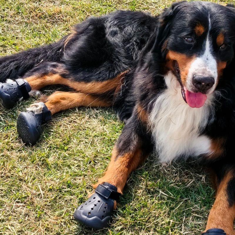 Summer EVA Pet Dog Shoes Hole Breathable Walk Hot Weather Dog Shoes Outdoor Lightweight Durable Pets Supplies Dogs Products
