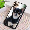 Cute Chihuahua Puppy Dog Phone Case For iPhone 17 Air 16 pro max 15 14 plus 12 13 Shell Cover coque