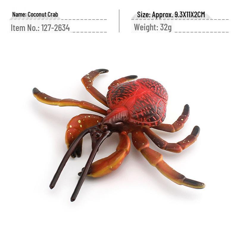 Children s Science Education King & Spider Crab Model Desktop Toy