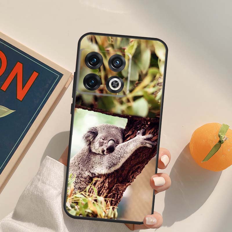 Australisches Koala-Case Für OnePlus 12R 13R 13T 10R 15 13 12 11 10T 8T Nord CE 4 3 2 Lite N20 N30 Nord 5 Hülle