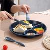 ZISIZ 3-Compartment Diet Meal Plate Set