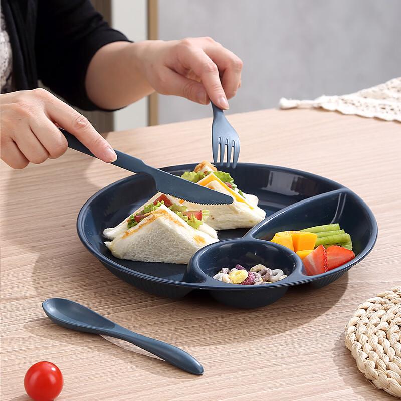 ZISIZ 3-Compartment Diet Meal Plate Set