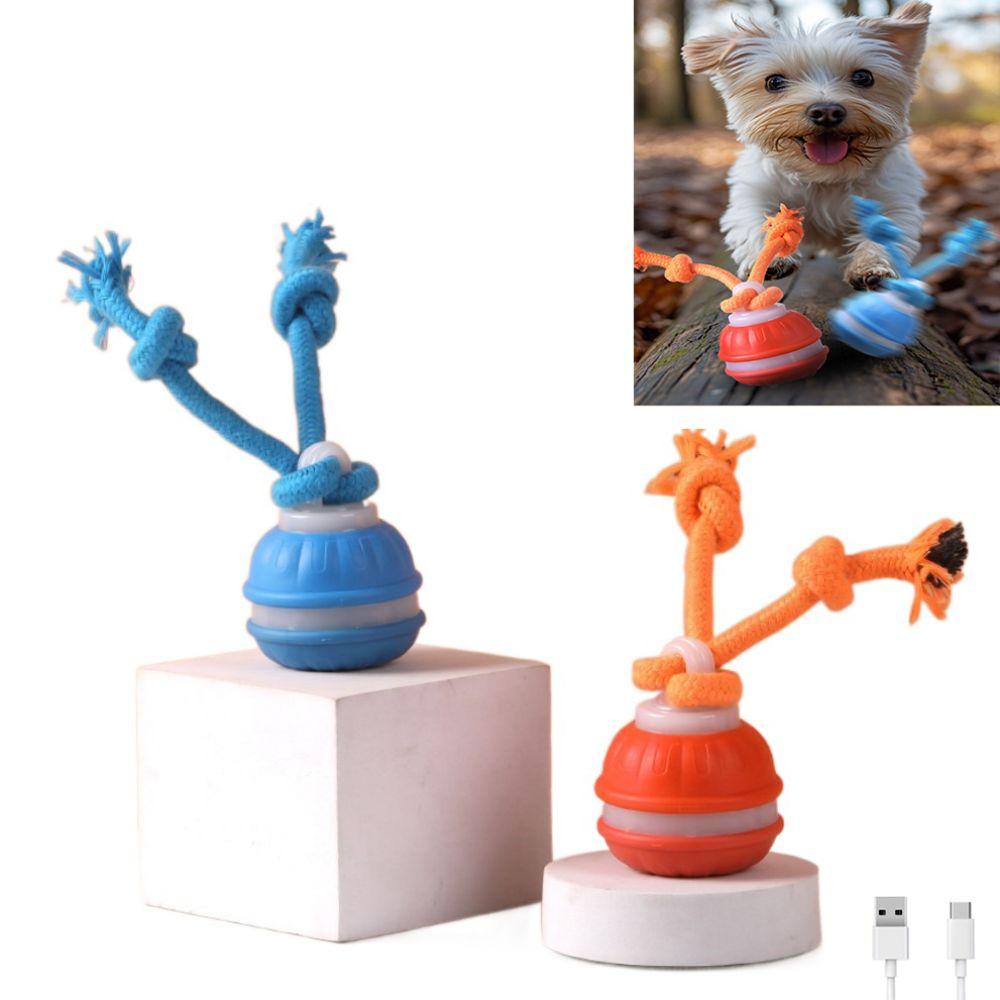 Vivid Bird Calls Teasing Dog Ball Motion Activated Automatic Rolling Ball