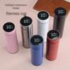 304 Stainless Steel Insulated Cup with Tea Separator, Sleek Design, Smart Temperature Display, Ideal Gift for Men
