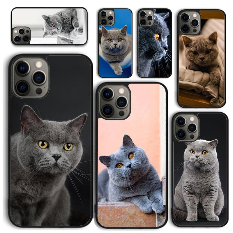 British shorthair cat Phone Case for iPhone 17 Air 16 PRO MAX 15 14 PLUS 11 12 13 Back Cover Fundas Shell