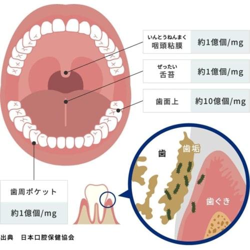 HABITPRO 1 Bottle (1080ml) + Measuring Cup [Set]