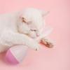 Roly-poly Cat Toy Soft Feather Bird Design Automatic Rebound Interactive Pet Toy Boredom Relief Cat Exercise Toy
