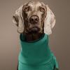 Warm Fleece Clothes Pet Dog Clothes Solid Color Thicken Winter Dog Coat Adjustable Puppy Clothing Small Medium Large Dogs