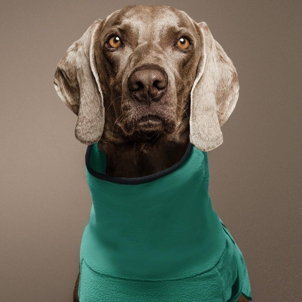 Warm Fleece Clothes Pet Dog Clothes Solid Color Thicken Winter Dog Coat Adjustable Puppy Clothing Small Medium Large Dogs