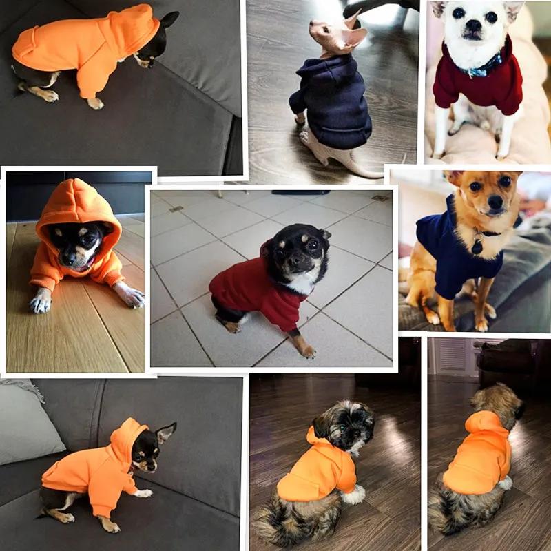 Jesień Zima Kieszonkowe Zwierzątko Pies Ubranka Dla Psa Płaszcz Pies Hoodie Ciepłe Psy Zwierzęta Ubrania Dla Psów Hoodies Stroje Zwierzątka Chihuahua Pug York