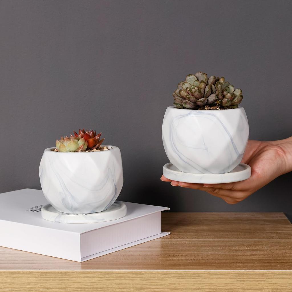 Umlaca Flower Ceramic Mini Flower Pot with Drain Cactus Ceramic Tray Pot Bottom Net No Plants Pot, Pot, Small, Hole, Pot, Stylish, Included, Included,