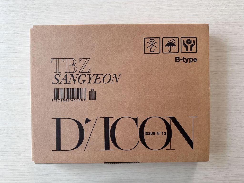 [USED] THE BOYZ SANYONG DICON Photobook