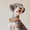 we original Leather Half Chain Collar Natural for Large Dogs GOOD MANNERS DOG SERIES - (L) /