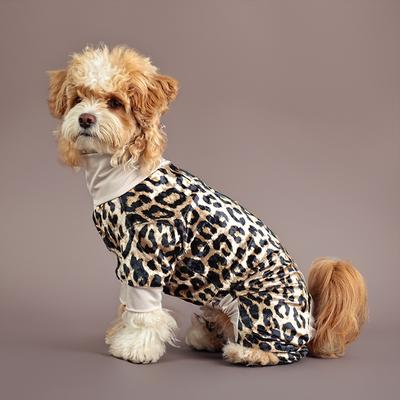 Ropa y calzado – Monos para perros
