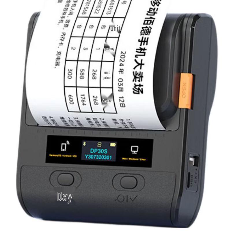 Detong DP30S Portable Receipt & Label Printer CN plug (adapter included)
