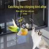 Sanhe Squeaky Simulation Bird Cat Toy