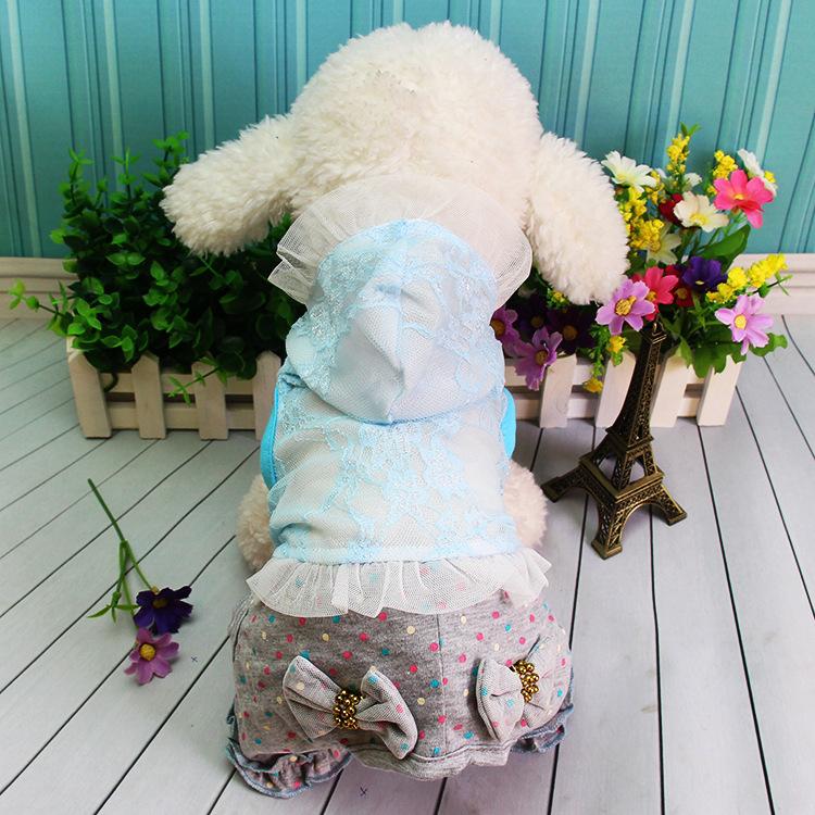 Dog Clothes, Pet Clothes, Lace Four-legged Clothes, New Spring, Summer, Autumn and Winter Models