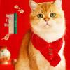 Cat and Puppy Woolen Festive Scarf - New Year Winter Snood