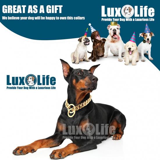 12mm Gold Cuban Link Dog Collar - Stainless Steel Chain Collar with O-Ring Lock for Small, Medium & Large Dogs - Adjustable Heavy Duty Pet Walking