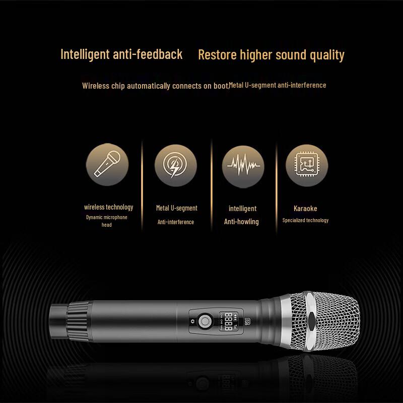 Songchuan SY70-12 KTV & Conference Audio System CN plug (adapter included)