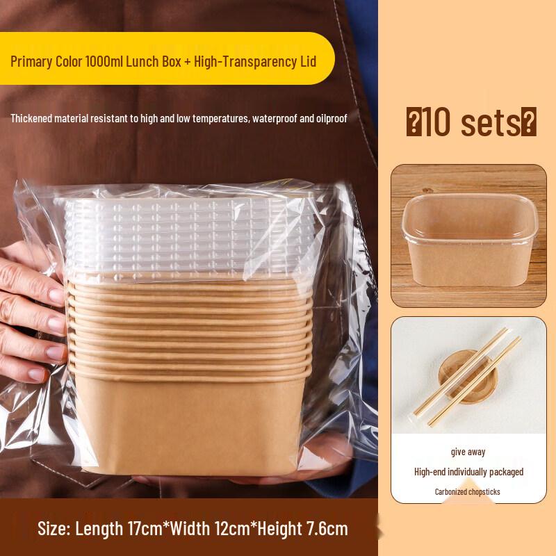 Disposable Outdoor Picnic Bento Box