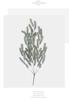 Artificial Christmas Wreath with Pine Needles and PE Leaves for Wall Hanging Decoration