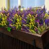 5 Bundles 5 Heads Artificial Lavender Flowers 36cm 7 Colors Outdoors Garden Lavender Flowers Outdoor Plants
