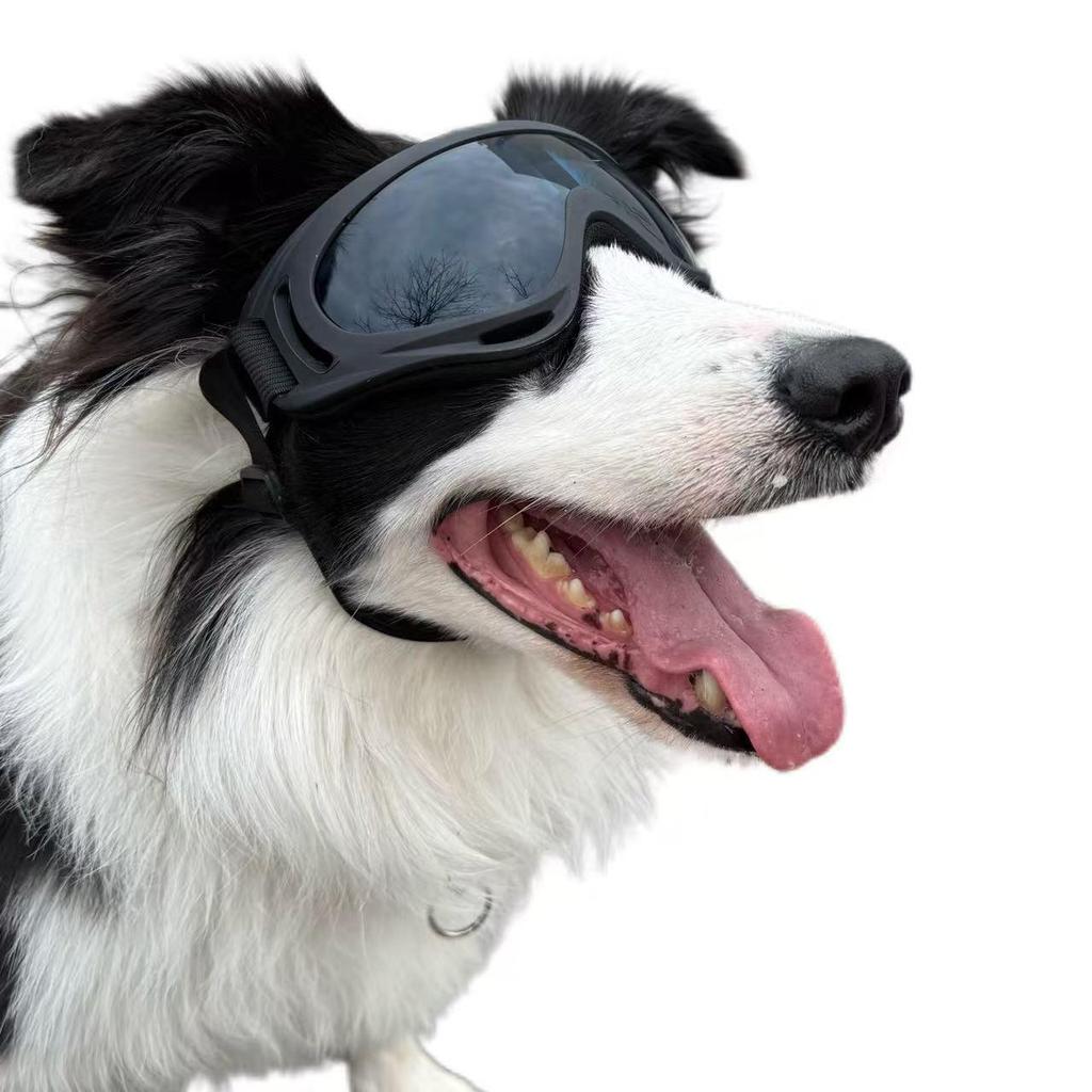 Pet Sunglasses for Dogs: Windproof, Anti-Fall-Off Glasses with Double Straps for Breeds Like Border Collie, Golden Retriever, Corgi, French Bulldog.