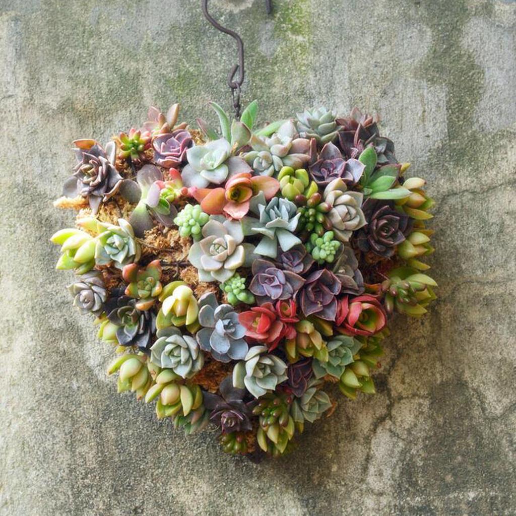 Pot Hanging Garden Planter Succulent Cactus Pot, Assorted Designs