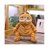 30cm Hässlich Süße Dicke Katze Garfield Katze Plüschtier Lustiger Ausdruck Katzenmädchen Geburtstagsgeschenk