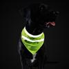 SpeichelTuch Welpe Sichtbarkeit Lätzchen Reflektierend Haustier Leuchtende Kleidung Hund SicherheitsSchal Laufen