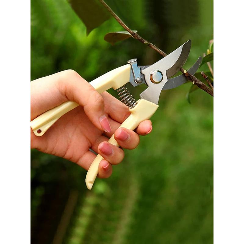 Stainless steel branch shears pruning shears picking fruit and flower shears garden fruit tree flower branch grafting gardening