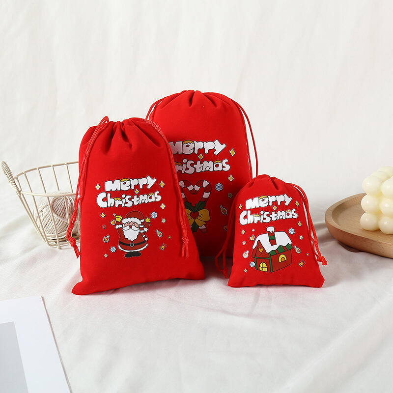 Artfield Christmas Aperture Pouch L