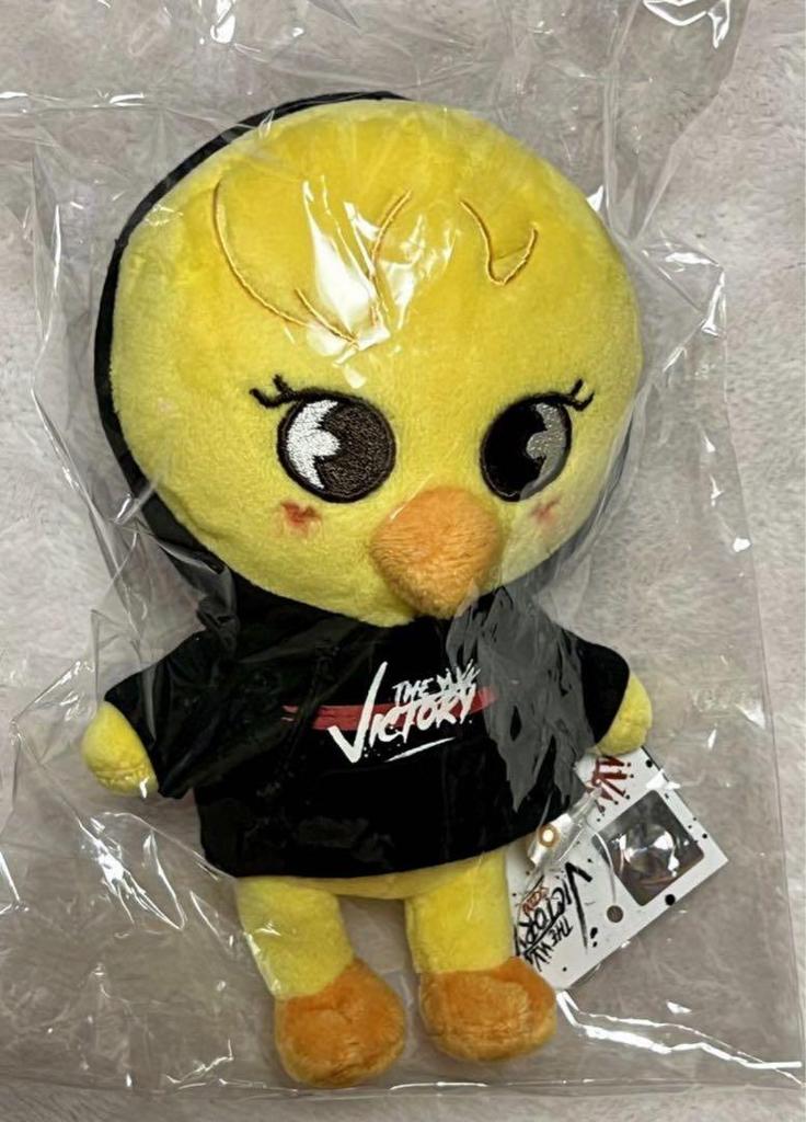 [USED] Anonymous shipping skzoo BbokAri Pogari stuffed toy mandarin orange with clothes